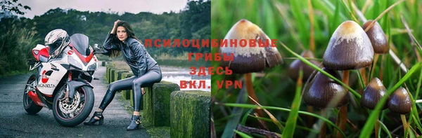 не бодяженный Беломорск
