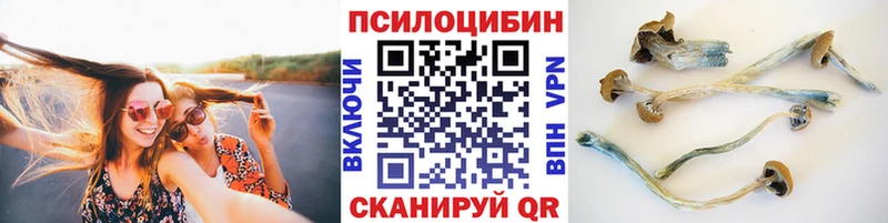 Псилоцибиновые грибы мицелий  Купить где  Красноперекопск 